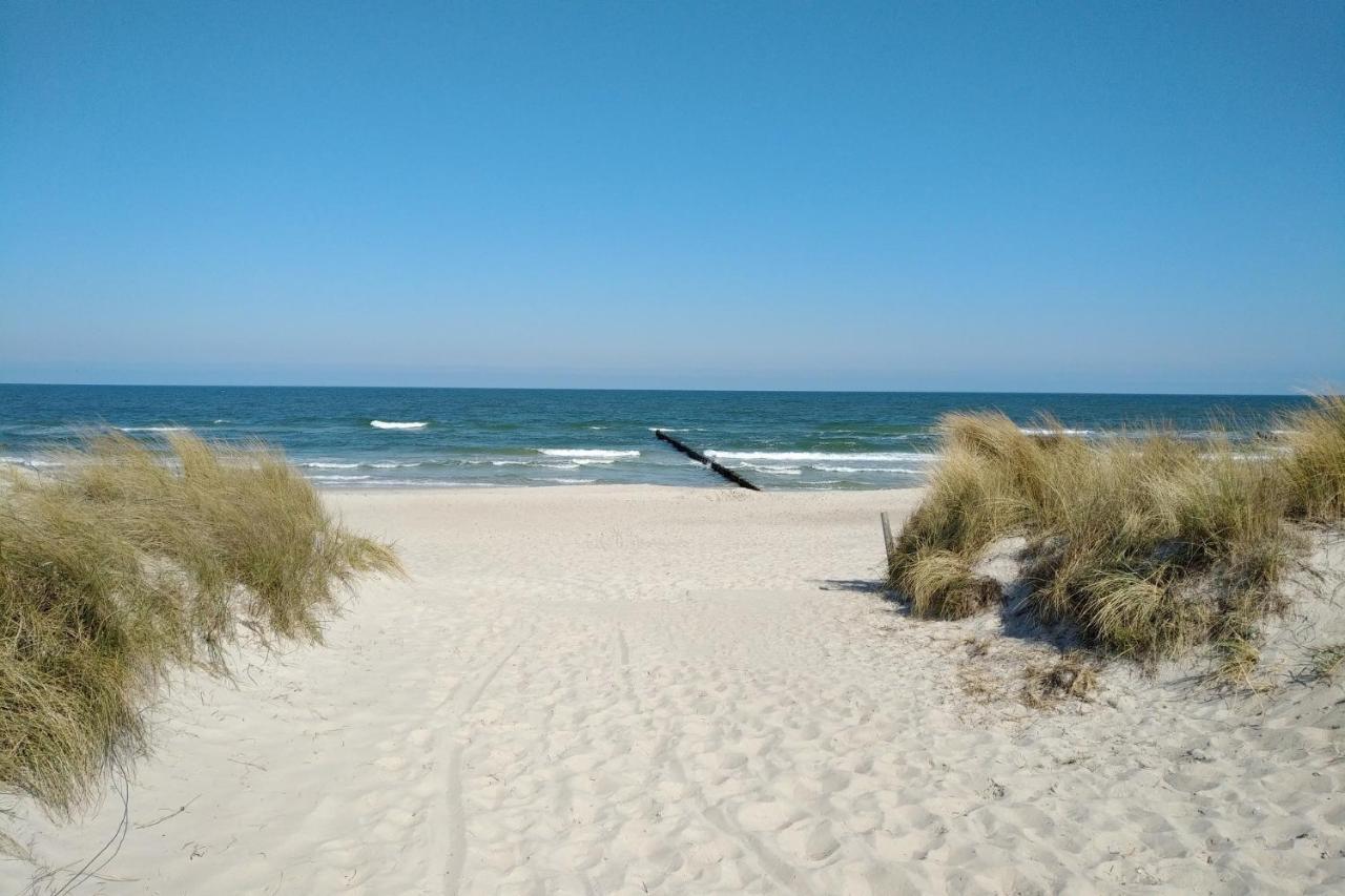 Suennenkringel 68 Appartement 1 Zingst Luaran gambar
